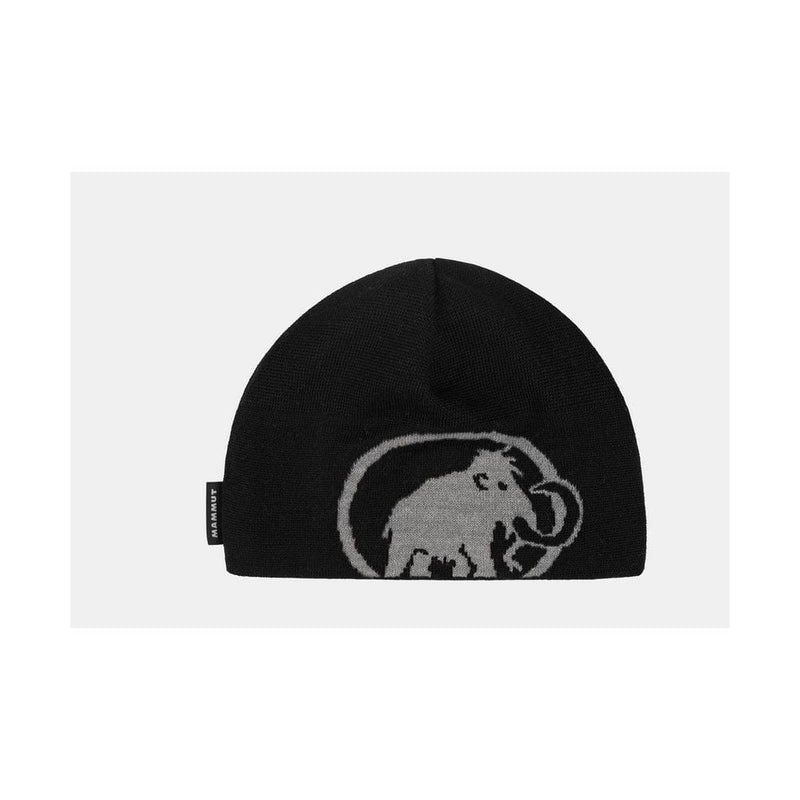 Load image into Gallery viewer, Mammut Tweak Beanie