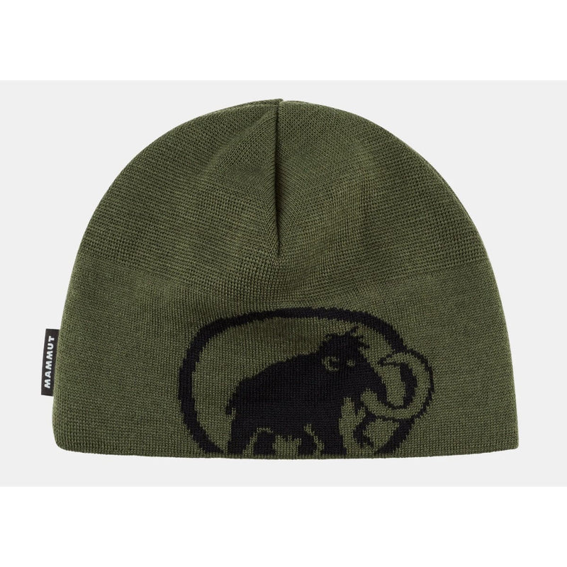 Load image into Gallery viewer, Mammut Tweak Beanie
