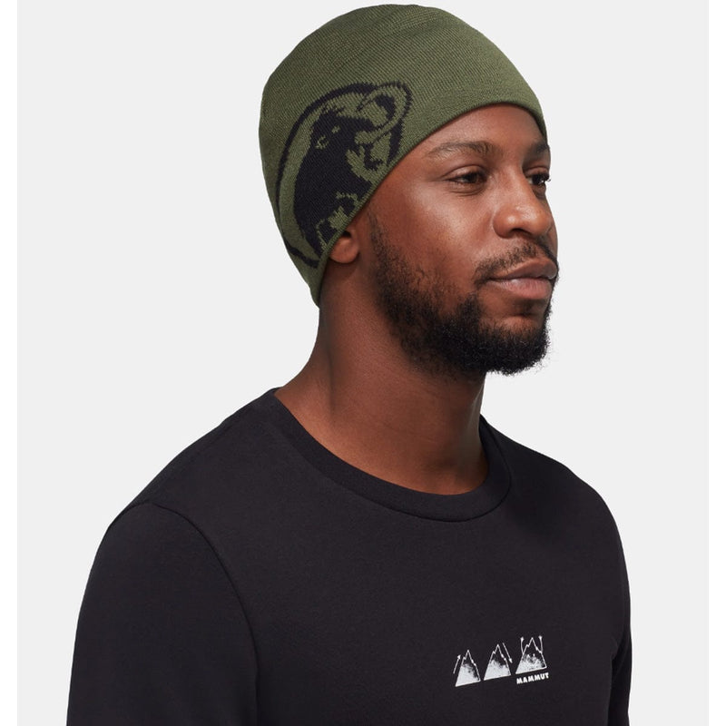 Load image into Gallery viewer, Mammut Tweak Beanie