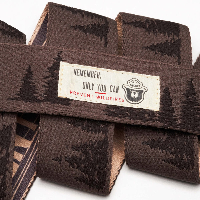 Load image into Gallery viewer, Arcade Smokey Bear Prevent Wildfires Belt