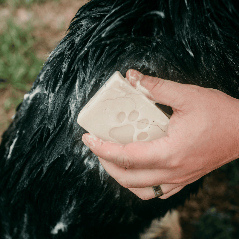 Load image into Gallery viewer, Zero Waste Pet Shampoo Bar - Zero Waste Dog Shampoo, All Natural, Vegan, Plastic Free, 4oz