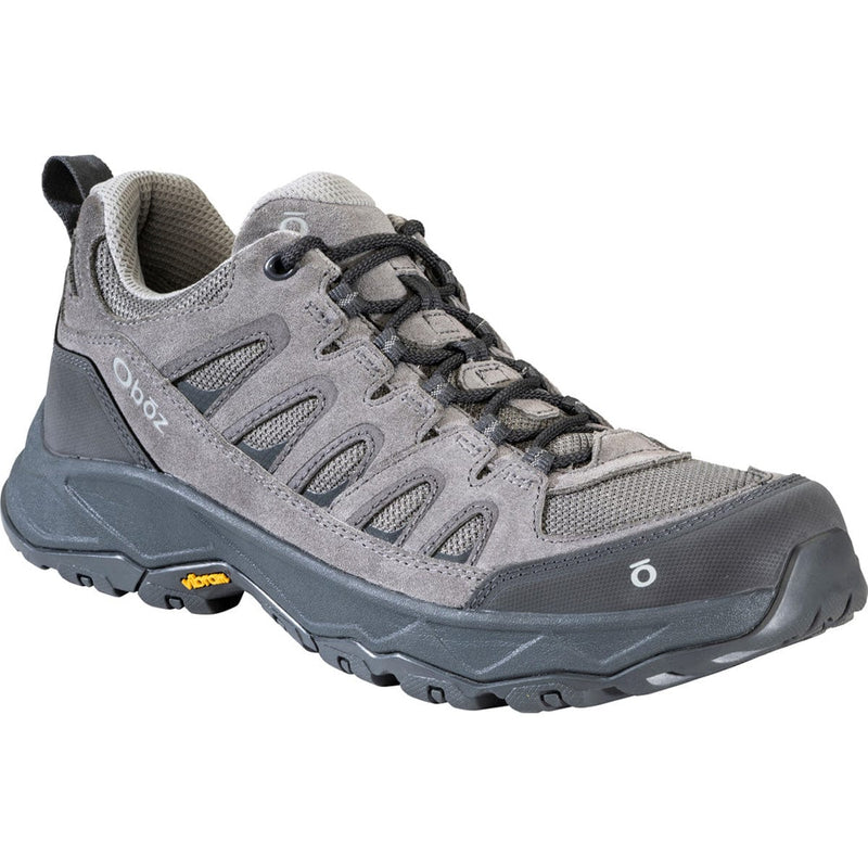 Load image into Gallery viewer, Gray hiking shoe with brand logo on a white background