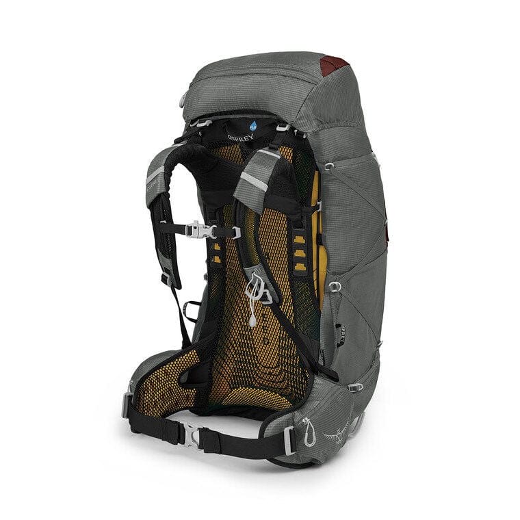 Load image into Gallery viewer, Osprey EJA 58 Women's Backpack