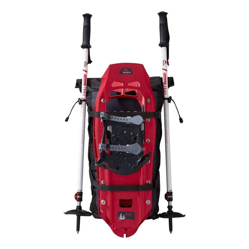 Load image into Gallery viewer, MSR Snowshoe and Poles Kit