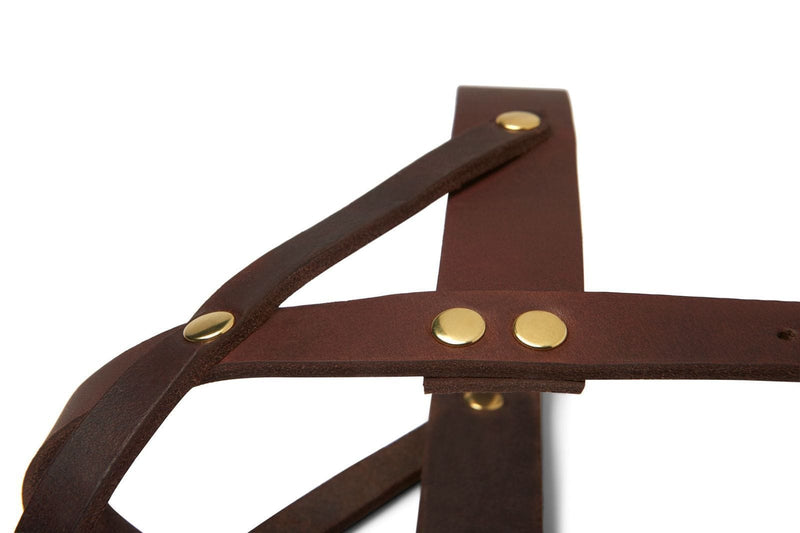 Load image into Gallery viewer, Butter Leather Dog Harness - Classic Brown by Molly And Stitch US