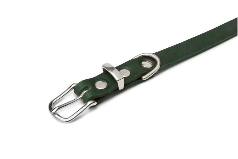 Load image into Gallery viewer, Butter Leather Dog Collar - Forest Green by Molly And Stitch US