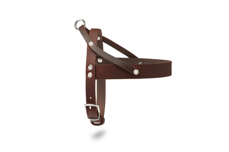 Load image into Gallery viewer, Butter Leather Dog Harness - Classic Brown by Molly And Stitch US