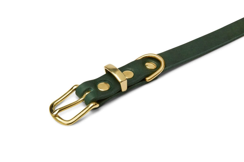 Load image into Gallery viewer, Butter Leather Dog Collar - Forest Green by Molly And Stitch US