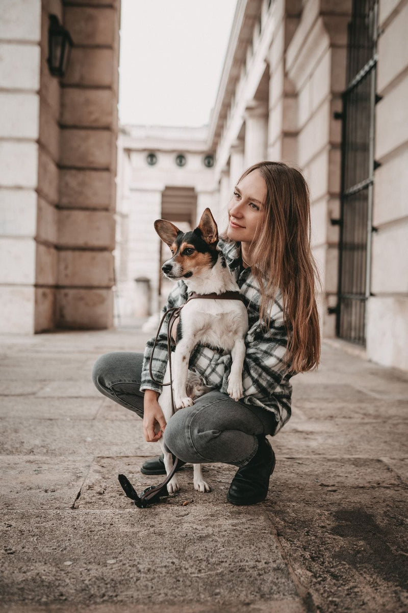 Load image into Gallery viewer, Butter Leather Dog Harness - Classic Brown by Molly And Stitch US