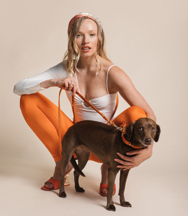 Load image into Gallery viewer, Butter Leather Dog Collar - Mango by Molly And Stitch US