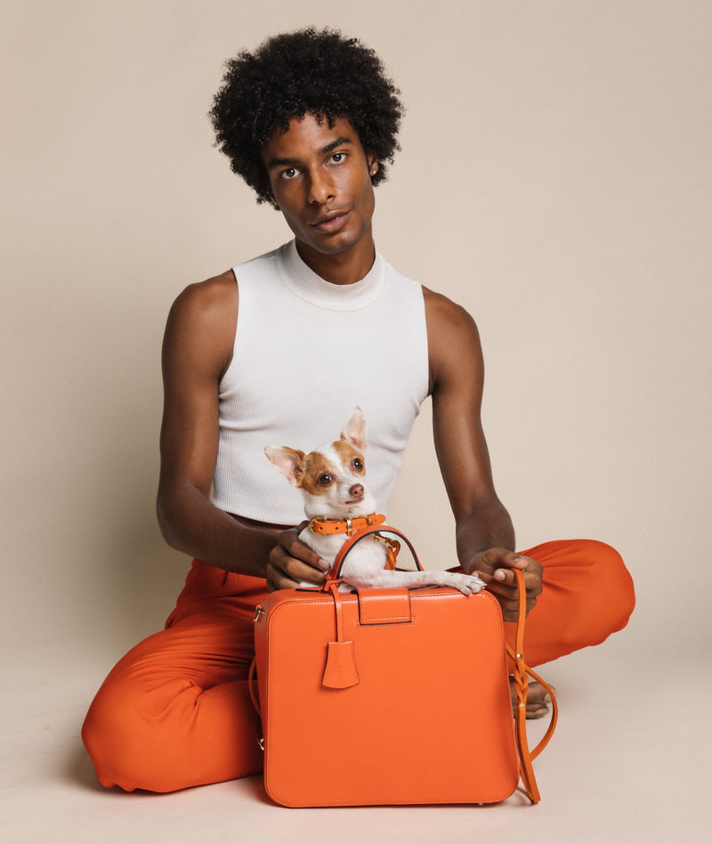 Load image into Gallery viewer, Butter Leather Dog Collar - Mango by Molly And Stitch US