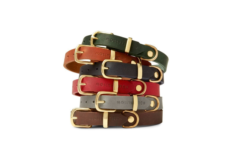 Load image into Gallery viewer, Butter Leather Dog Collar - Forest Green by Molly And Stitch US
