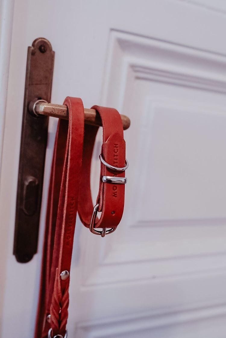 Load image into Gallery viewer, Butter Leather Dog Collar - Chili Red by Molly And Stitch US