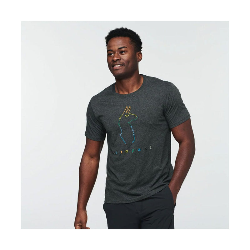 Load image into Gallery viewer, Cotopaxi Electric Llama T-Shirt