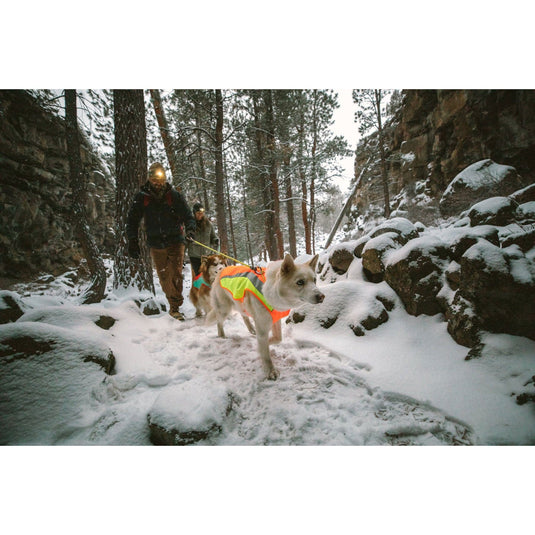 Ruffwear Lumenglow High-Vis Dog Jacket