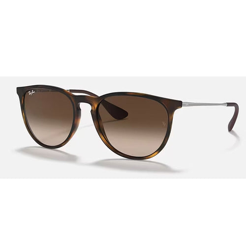 Ray-Ban Erika Sunglasses