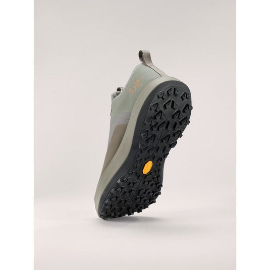 Arc'teryx Men's Sylan GTX Running Shoe