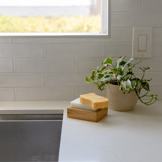 Cellulose Kitchen Sponges by Zero Waste
