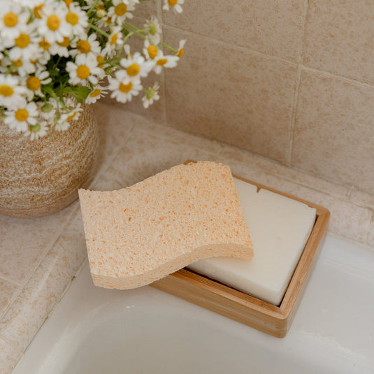 Cellulose Kitchen Sponges by Zero Waste