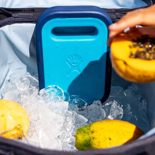 Hydro Flask Ice Pack